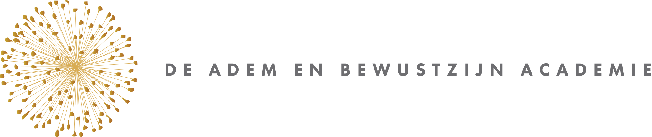 Bewust Verbonden Ademwerk Opleiding